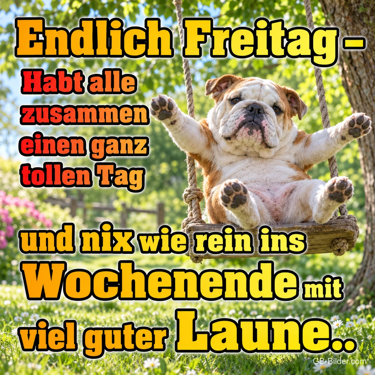 Bulldogge schaukelt fröhlich auf einer Holzschaukel, Text: Endlich Freitag – Habt alle zusammen einen ganz tollen Tag und nix wie rein ins Wochenende mit viel guter Laune..