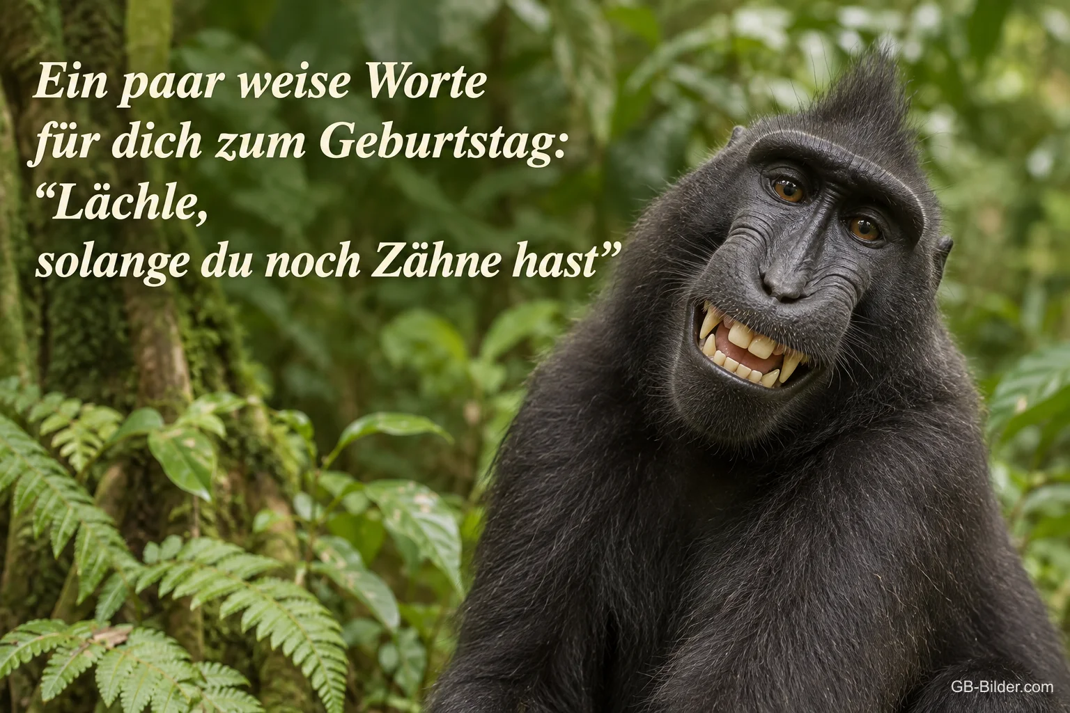 Grinsender Schopfmakak, Spruch: Lächle, solange du noch Zähne hast
