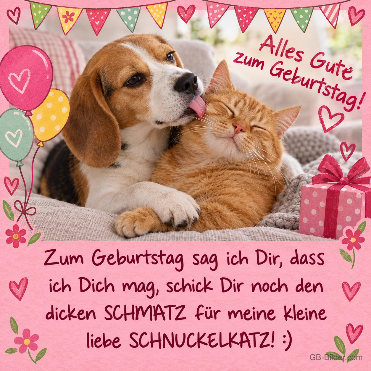 Beagle schleckt eine rote Katze ab, Geburtstagsreim: dicker Schmatz für meine kleine Schnuckelkatz