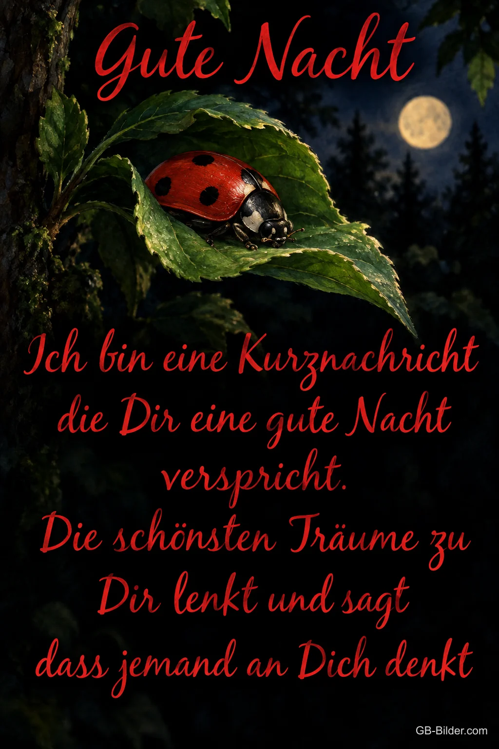 Marienkäfer bei Nacht, Text: Gute Nacht