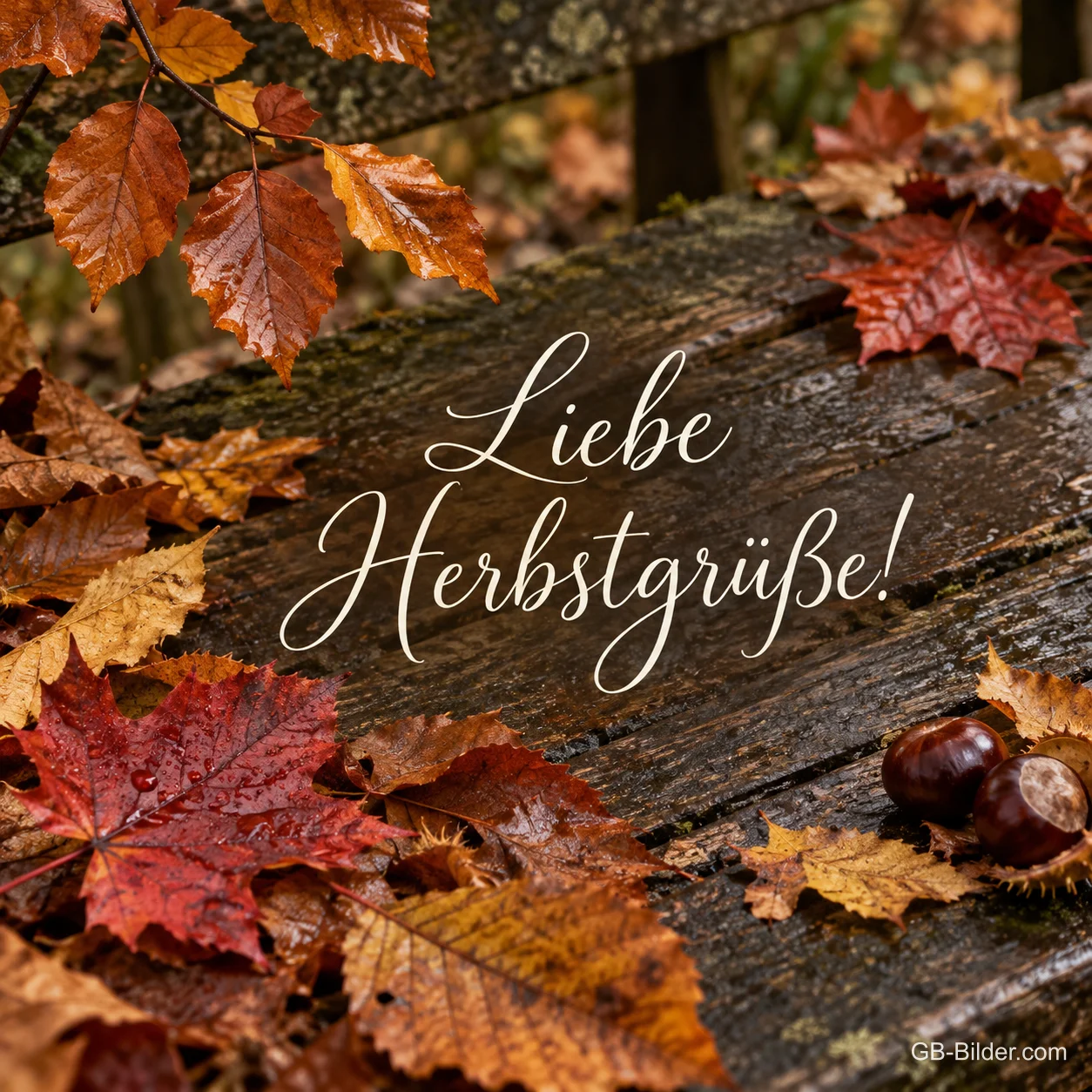 Rote und braune Herbstblätter mit Kastanien auf einer alten Holzbank, Text: Liebe Herbstgrüße!