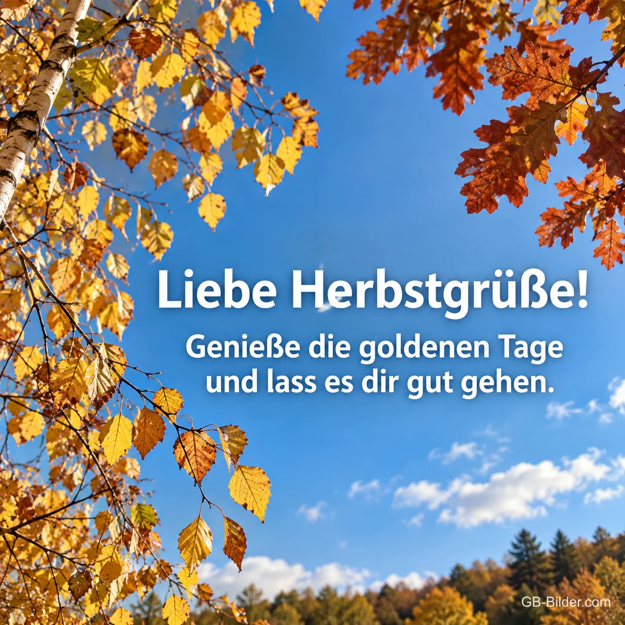 Goldene Herbstblätter vor blauem Himmel, Text: Liebe Herbstgrüße! Genieße die goldenen Tage und lass es dir gut gehen.