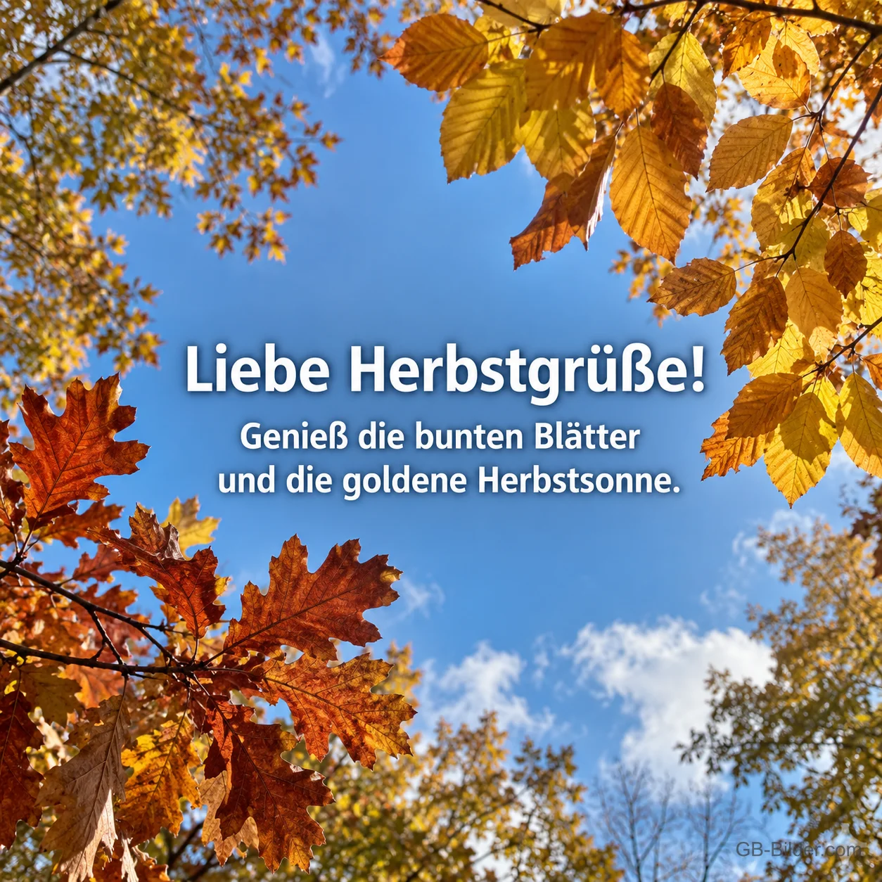 Buntes Herbstlaub vor blauem Himmel, Text: Liebe Herbstgrüße! Genieß die bunten Blätter und die goldene Herbstsonne.