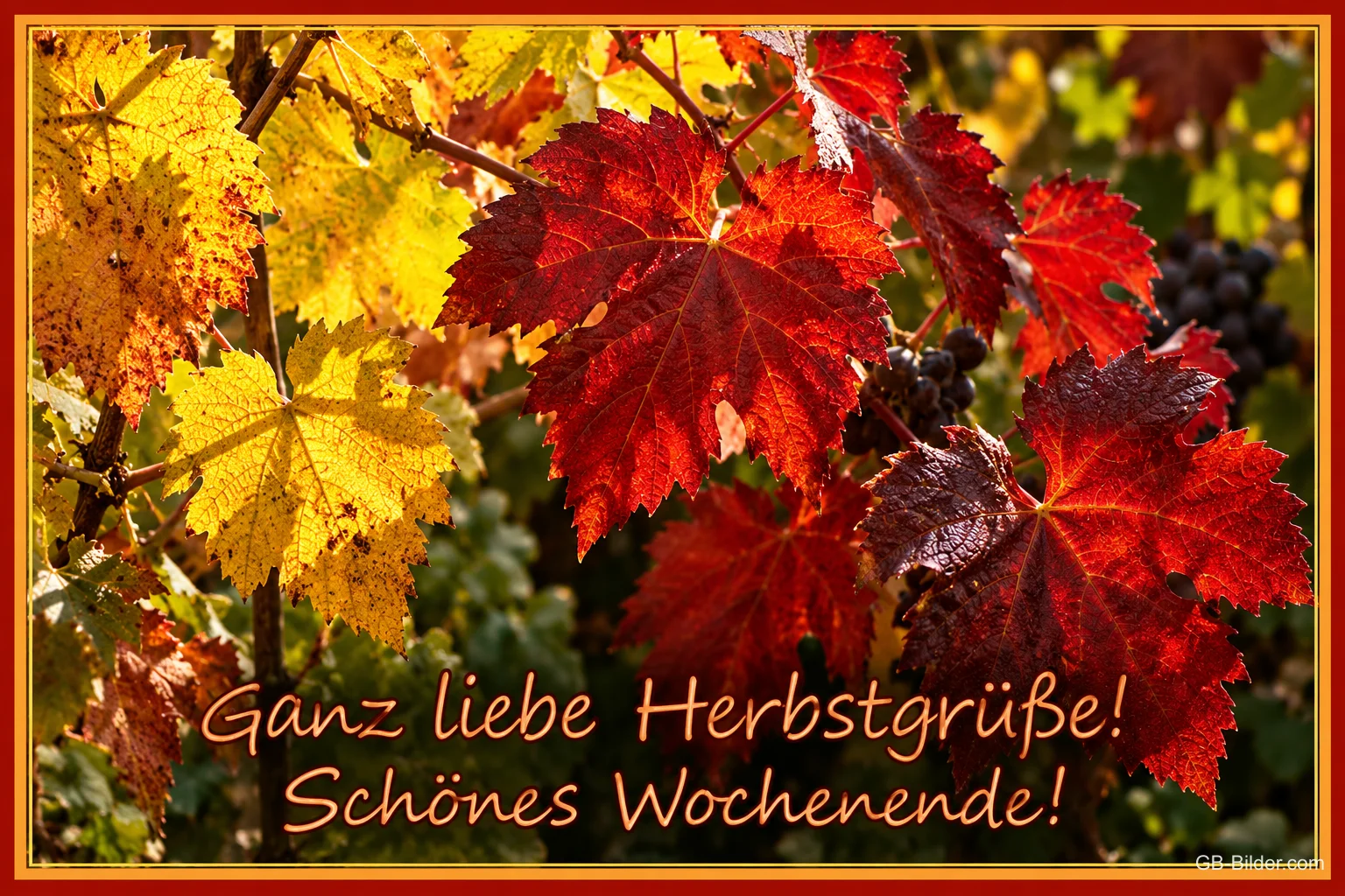 Rotes und gelbes Weinlaub mit Trauben, Text: Ganz liebe Herbstgrüße! Schönes Wochenende!