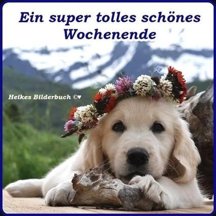 Kostenlose Wochenendgrusse Gb Bilder Gb Pics Gastebuchbilder