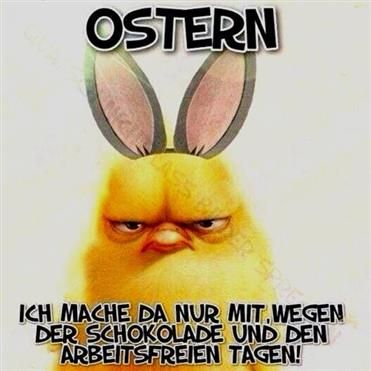 ᐅ Lustige Osterbilder Fur Whatsapp Pics - GB Pics - GBPicsBilder